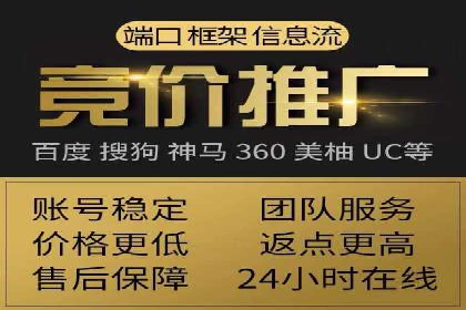 案例研究：百度推广托管助力电商品牌快速崛起